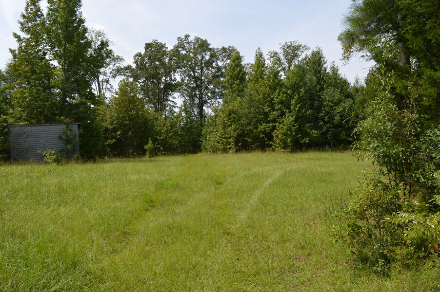 2332 Catawba Road  62.5 acres