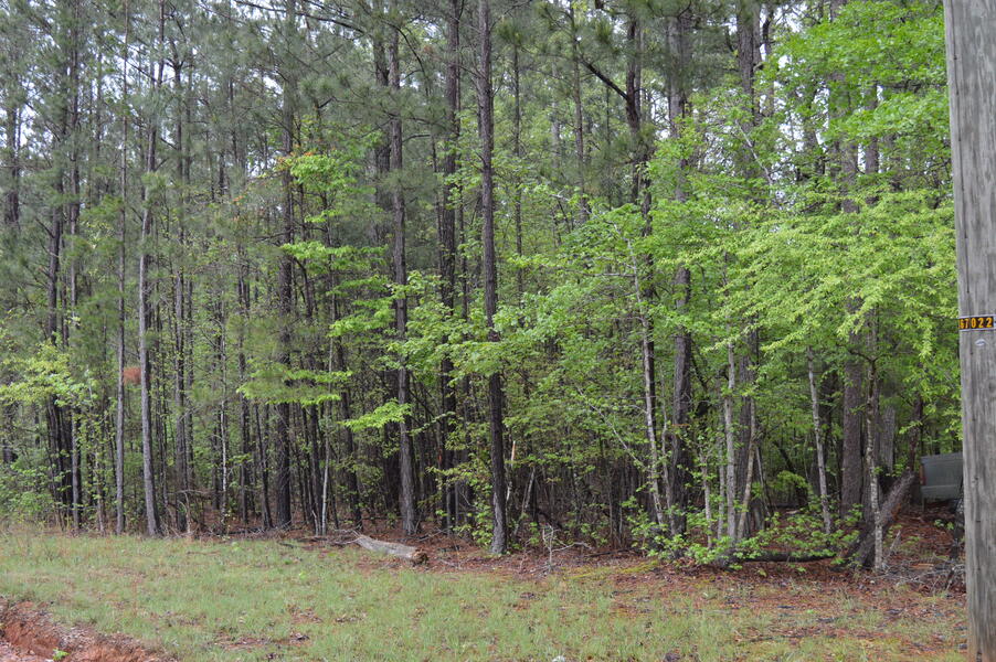 2098 Methodist Camp Road    1.41 acres  Reduced!!