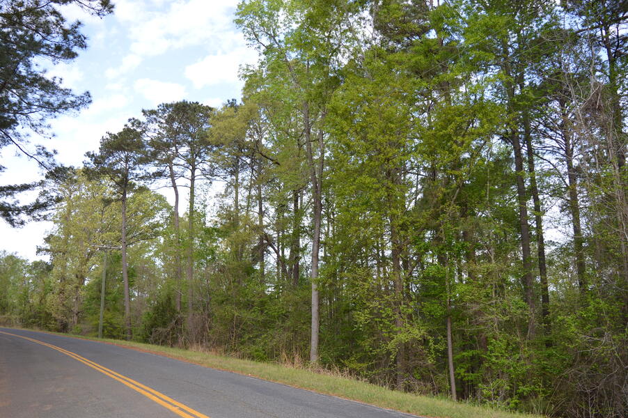 49 Club Lane  2 Acres