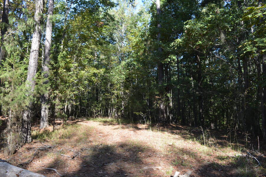 1518 Wild Turkey Road   1 acre