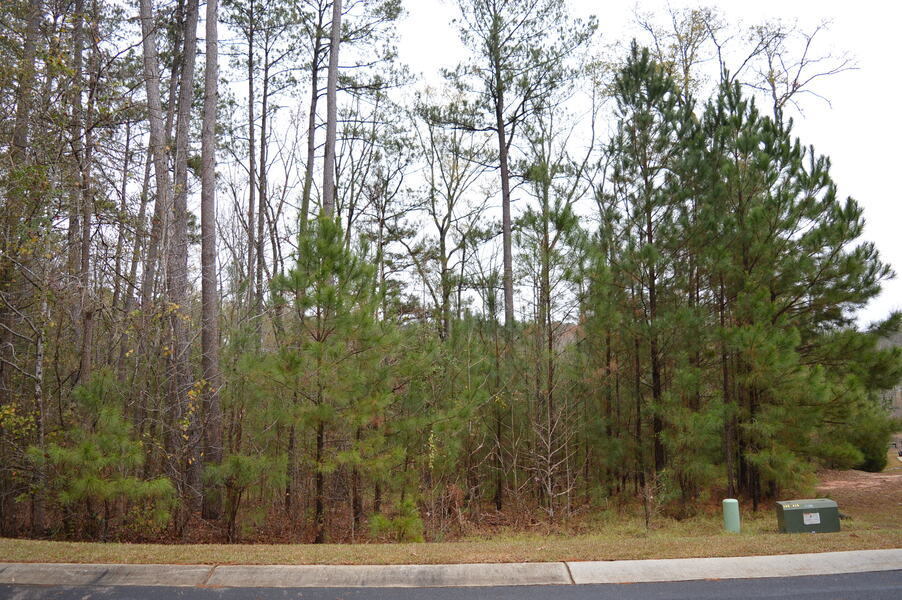 9 Nautical Drive   1.4 Acre Waterfront Lot