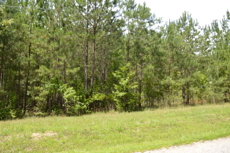 172 Colonels Circle  1.0 Acre Lot